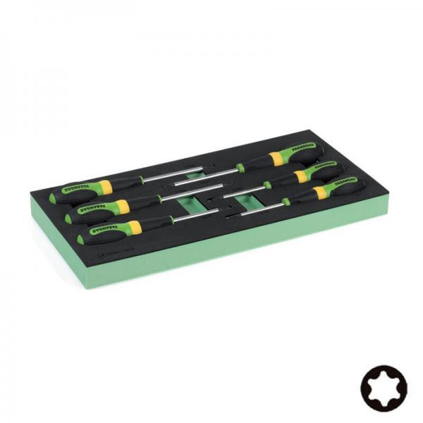 !FG 100-45I Σετ κατσαβίδια Torx μαλακή θήκη FASANO