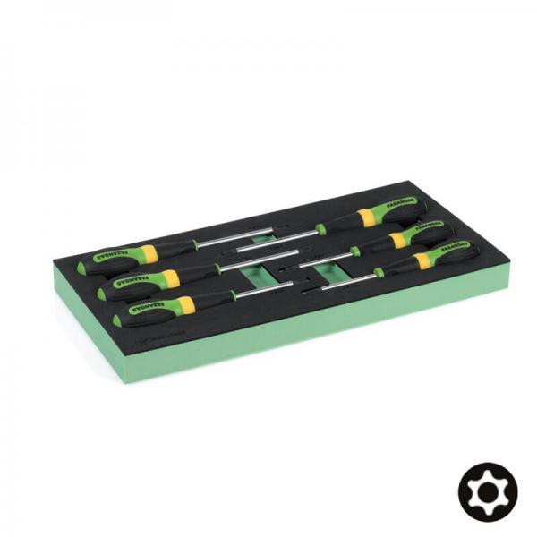 !FG 100-45L Σετ κατσαβίδια Torx ασφαλείας μαλακή θήκη